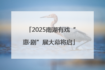 2025南湖有戏“惠·剧”展大幕将启