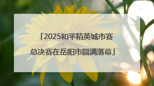 2025和平精英城市赛总决赛在岳阳市圆满落幕