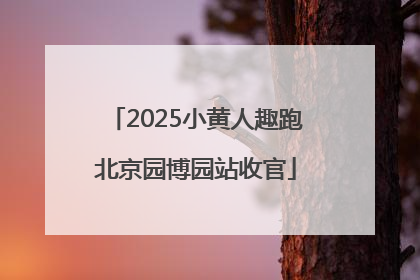 2025小黄人趣跑北京园博园站收官