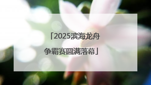 2025滨海龙舟争霸赛圆满落幕