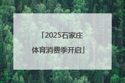 2025石家庄体育消费季开启