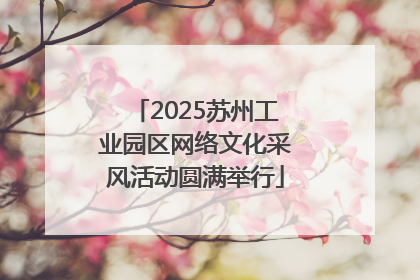 2025苏州工业园区网络文化采风活动圆满举行