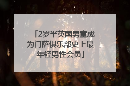 2岁半英国男童成为门萨俱乐部史上最年轻男性会员
