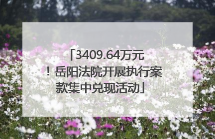 3409.64万元！岳阳法院开展执行案款集中兑现活动