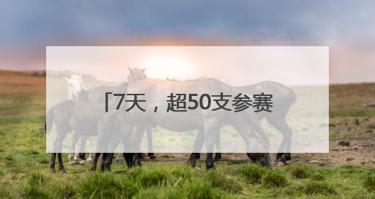 7天，超50支参赛队！世界人形机器人运动会火热报名中