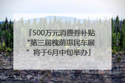 500万元消费券补贴 “第三届槐荫惠民车展”将于6月中旬举办