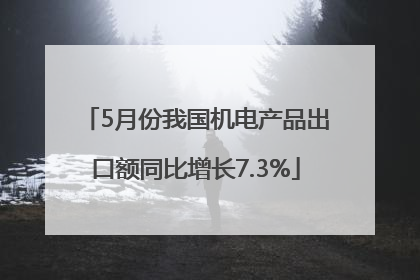 5月份我国机电产品出口额同比增长7.3%