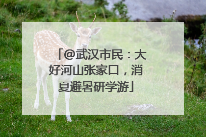 @武汉市民：大好河山张家口，消夏避暑研学游