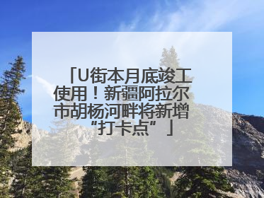 U街本月底竣工使用！新疆阿拉尔市胡杨河畔将新增“打卡点”