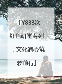 Y833次红色研学专列：文化润心筑梦前行